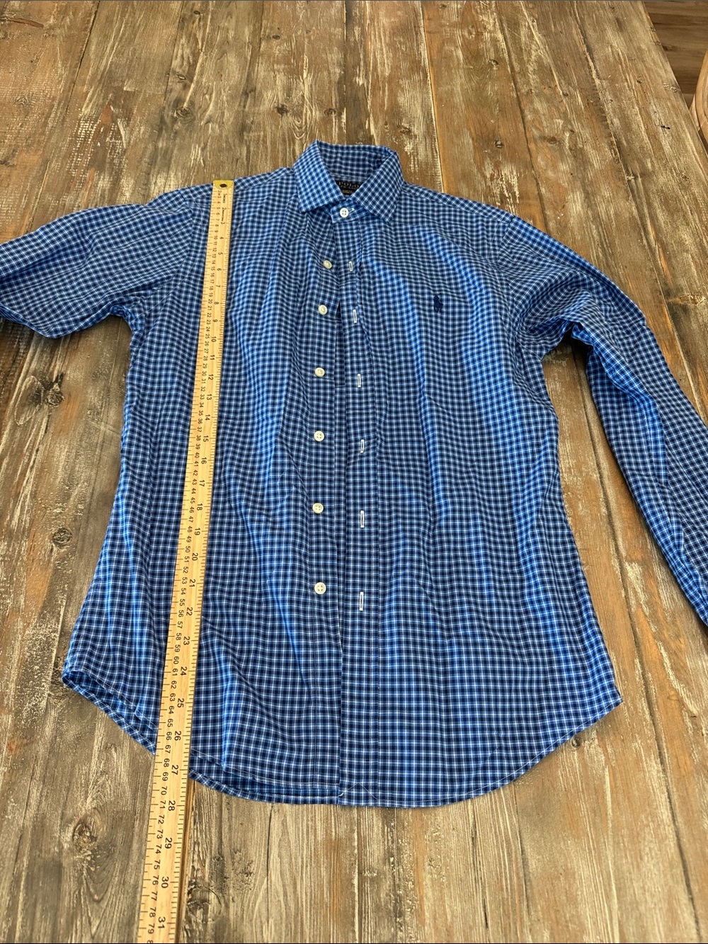 Polo by Ralph Lauren Blue Gingham Long-Sleeve Button-Down Shirt